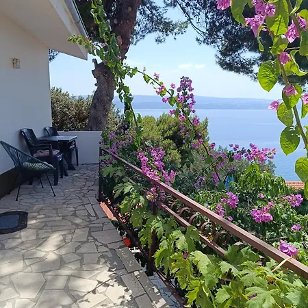 Tucic Апартаменты *