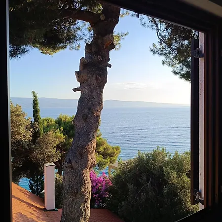 Tucic Апартаменты