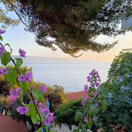 Apartment Tucic